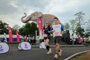 BIB: 
                            <button type="button" onclick="openModal(26528621)" class="btn btn-primary btn-sm float-right btn-popup" data-toggle="modal" data-target=".modal-high-quality">
                        <i class="fas fa-shopping-cart"></i> Add to Cart
                    </button>
                                            <button type="button" onclick="isThisMe(26528621, true)" class="btn btn-success btn-sm float-right btn-popup btn-isme hidden" data-toggle="tooltip" data-placement="bottom" title="นี่คือรูปของคุณใช่ไหม คลิกที่นี่เพื่อเอาเข้าอัลบั้ม">
                        <i class="fas fa-plus"></i> Add to album
                    </button>
                    <button type="button" onclick="isThisMe(26528621, false)" class="btn btn-warning btn-sm float-right btn-popup btn-isnotme hidden">
                        <i class="fas fa-ban"></i> Remove from album
                    </button>